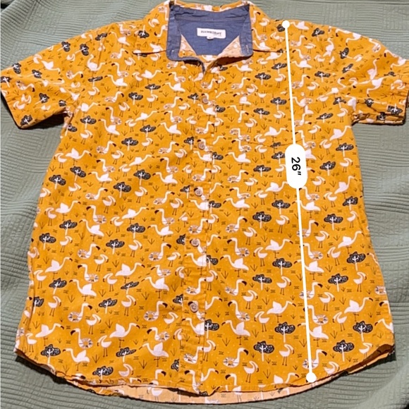 Hawksbay Button Down Short Sleeve with Flamingo Design
Size Medium - Picture 13 of 13